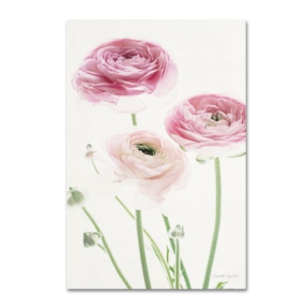 Trademark Fine Art Elizabeth Urquhart 'Light and Bright Floral VI' Canvas Art, 12x19 WAP01930-C1219GG